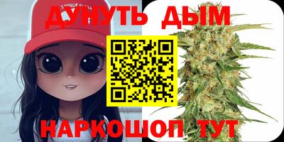 шишки Абакан