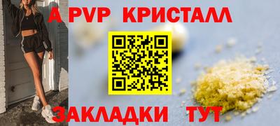 шишки Абакан