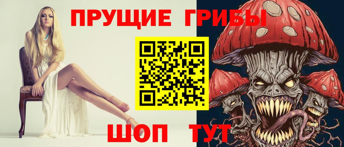 Псилоцибиновые грибы Psilocybe Абинск